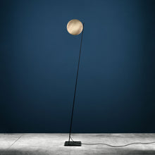 Charger l'image dans la galerie, Lederam F0