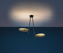 Charger l'image dans la galerie, Lederam C2