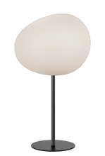 Charger l'image dans la galerie, Gregg Alta