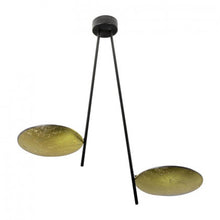 Charger l'image dans la galerie, Lederam C2